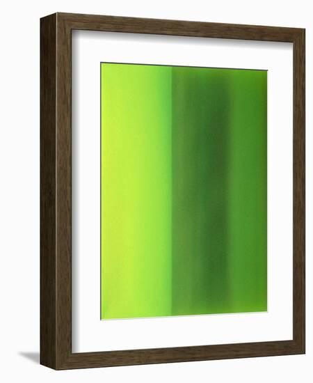 Color Works 6-Ruth Palmer 2-Framed Art Print