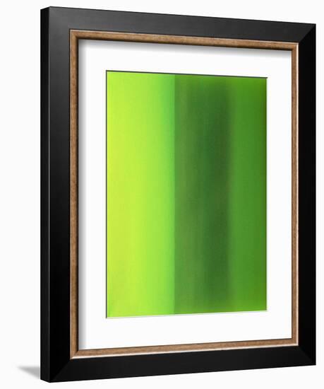 Color Works 6-Ruth Palmer 2-Framed Art Print