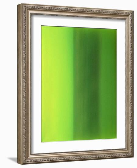 Color Works 6-Ruth Palmer 2-Framed Art Print