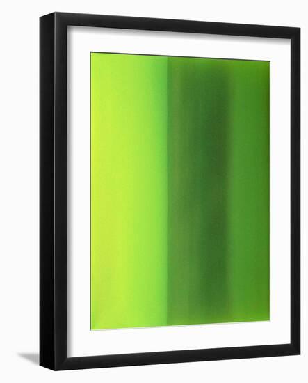 Color Works 6-Ruth Palmer 2-Framed Art Print