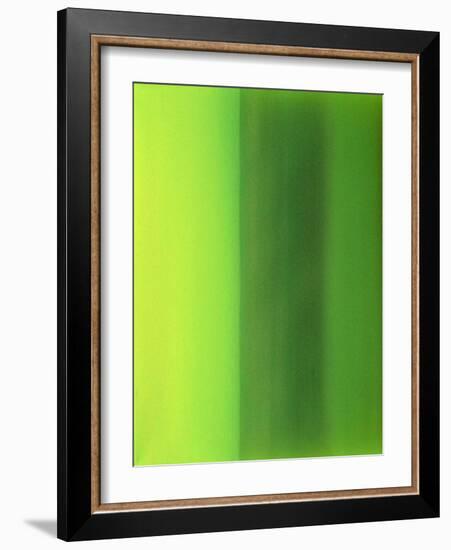 Color Works 6-Ruth Palmer 2-Framed Art Print