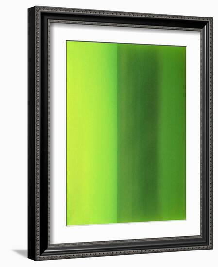 Color Works 6-Ruth Palmer 2-Framed Art Print