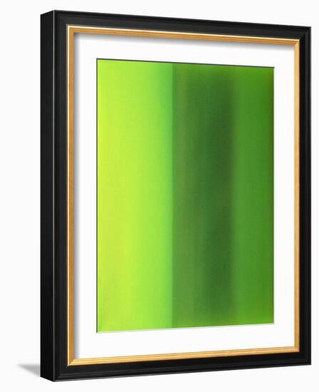 Color Works 6-Ruth Palmer 2-Framed Art Print