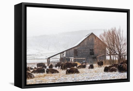 Colorado-59-Jeff Poe-Framed Stretched Canvas