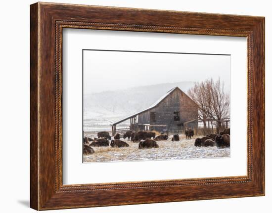 Colorado-59-Jeff Poe-Framed Photo