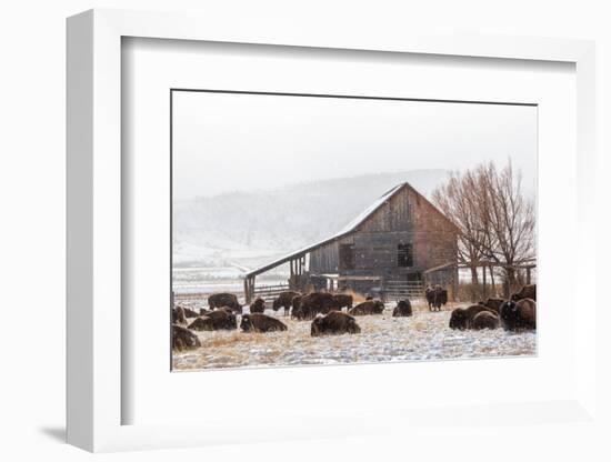 Colorado-59-Jeff Poe-Framed Photo