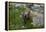 Colorado, American Basin, Yellow-Bellied Marmot Among Grasses and Wildflowers in Sub-Alpine Regions-Judith Zimmerman-Framed Premier Image Canvas