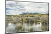 Colorado, Autumn Color at Steamboat Lake-Rob Tilley-Mounted Photographic Print