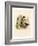 Colorado Chipmunk-null-Framed Giclee Print