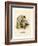 Colorado Chipmunk-null-Framed Giclee Print