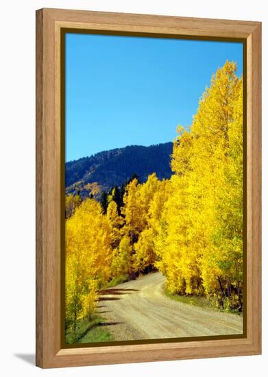 Colorado Color I-Douglas Taylor-Framed Premier Image Canvas