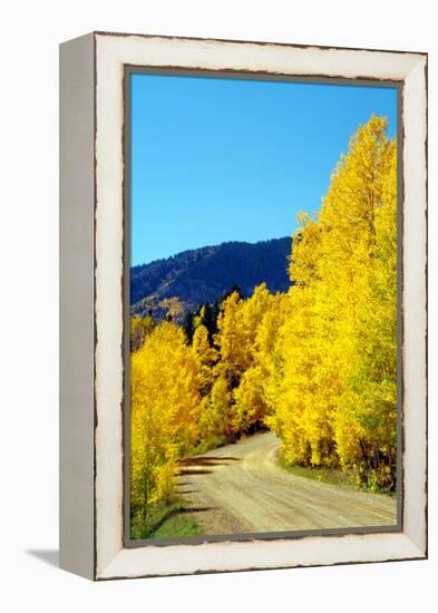 Colorado Color I-Douglas Taylor-Framed Premier Image Canvas