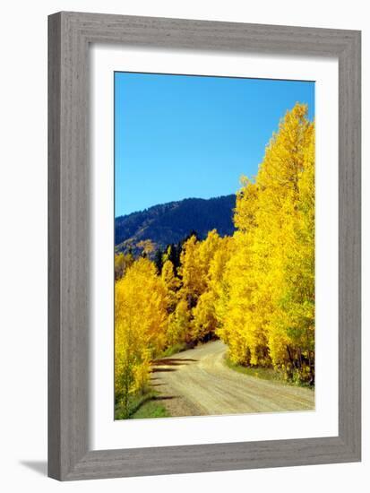 Colorado Color I-Douglas Taylor-Framed Photographic Print