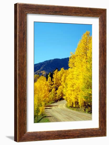 Colorado Color I-Douglas Taylor-Framed Photographic Print