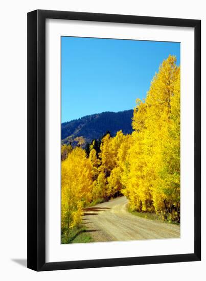 Colorado Color I-Douglas Taylor-Framed Photographic Print