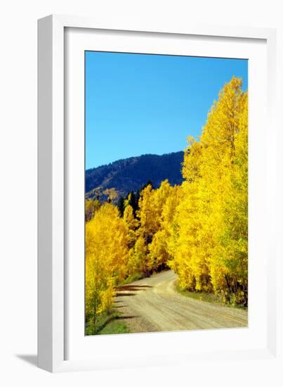 Colorado Color I-Douglas Taylor-Framed Photographic Print