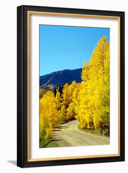 Colorado Color I-Douglas Taylor-Framed Photographic Print