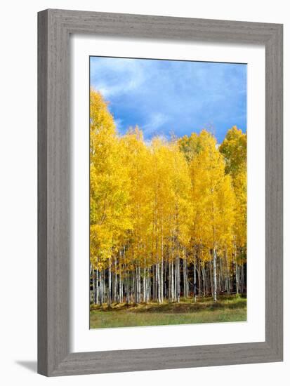 Colorado Color II-Douglas Taylor-Framed Photographic Print