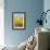 Colorado Color II-Douglas Taylor-Framed Photographic Print displayed on a wall