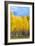 Colorado Color II-Douglas Taylor-Framed Photographic Print