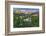 Colorado Columbine from Gothic Road, Crested Butte, Colorado-Howie Garber-Framed Photographic Print