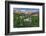 Colorado Columbine from Gothic Road, Crested Butte, Colorado-Howie Garber-Framed Photographic Print