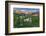 Colorado Columbine from Gothic Road, Crested Butte, Colorado-Howie Garber-Framed Photographic Print