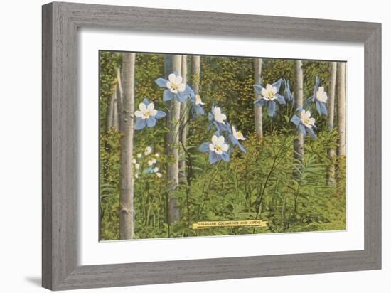 Colorado Columbines and Aspens-null-Framed Art Print