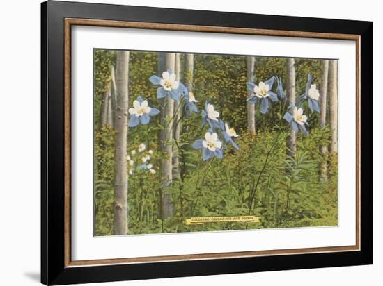 Colorado Columbines and Aspens-null-Framed Art Print