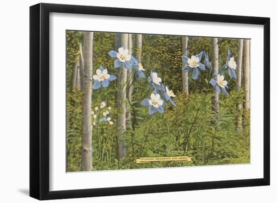 Colorado Columbines and Aspens-null-Framed Art Print