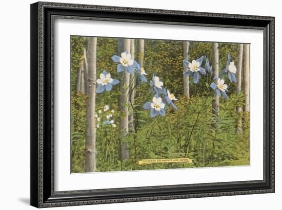 Colorado Columbines and Aspens-null-Framed Premium Giclee Print