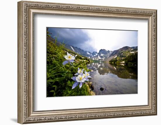 Colorado Columbines Blooming in Early July with Spring Run Off, Indian Peaks Rocky Mountains-Daniel Gambino-Framed Photographic Print