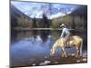 Colorado Cowboy-Jack Sorenson-Mounted Art Print