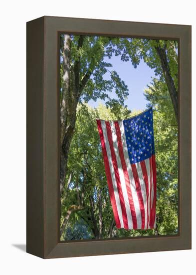 Colorado, Crawford. Flag Hanging Between Two Trees-Jaynes Gallery-Framed Premier Image Canvas