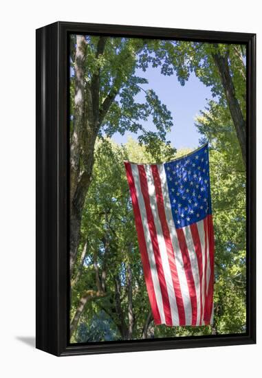 Colorado, Crawford. Flag Hanging Between Two Trees-Jaynes Gallery-Framed Premier Image Canvas