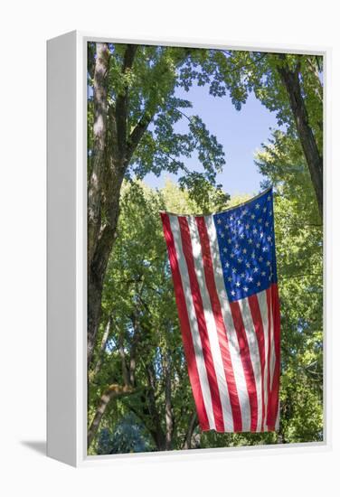 Colorado, Crawford. Flag Hanging Between Two Trees-Jaynes Gallery-Framed Premier Image Canvas