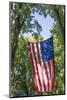Colorado, Crawford. Flag Hanging Between Two Trees-Jaynes Gallery-Mounted Photographic Print