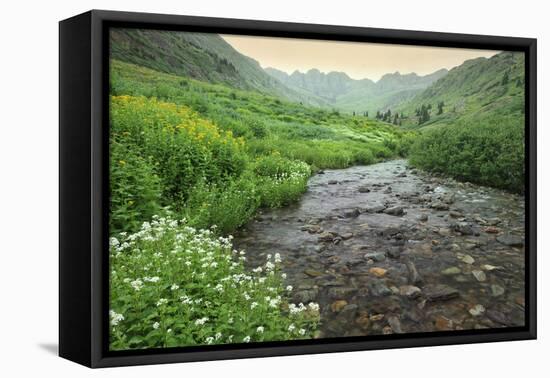 Colorado. Creek in American Basin-Jaynes Gallery-Framed Premier Image Canvas