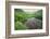 Colorado. Creek in American Basin-Jaynes Gallery-Framed Photographic Print