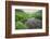 Colorado. Creek in American Basin-Jaynes Gallery-Framed Photographic Print