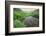 Colorado. Creek in American Basin-Jaynes Gallery-Framed Photographic Print