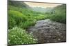 Colorado. Creek in American Basin-Jaynes Gallery-Mounted Photographic Print