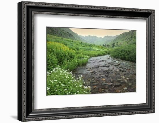 Colorado. Creek in American Basin-Jaynes Gallery-Framed Photographic Print