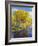 Colorado, Curecanti National Recreation Area-John Barger-Framed Photographic Print