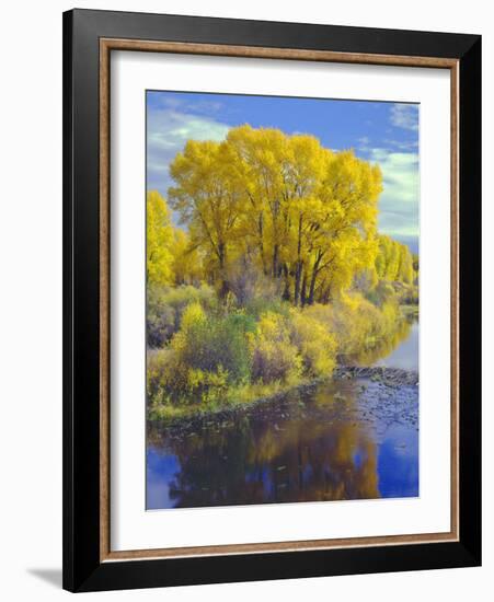 Colorado, Curecanti National Recreation Area-John Barger-Framed Photographic Print