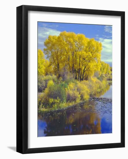 Colorado, Curecanti National Recreation Area-John Barger-Framed Photographic Print