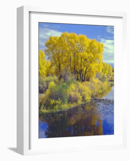 Colorado, Curecanti National Recreation Area-John Barger-Framed Photographic Print