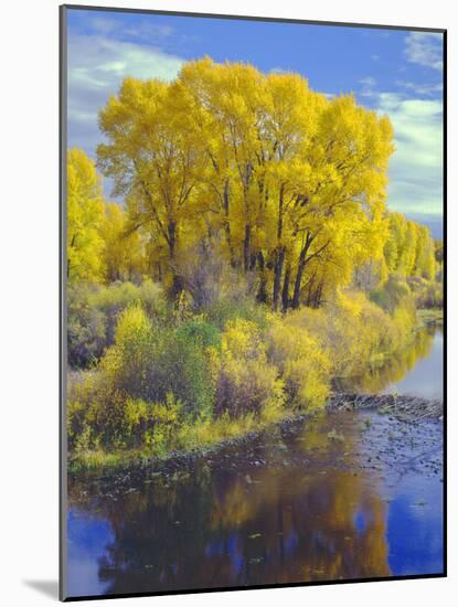 Colorado, Curecanti National Recreation Area-John Barger-Mounted Photographic Print