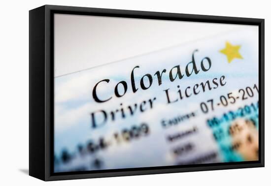 Colorado Driver License-duallogic-Framed Premier Image Canvas