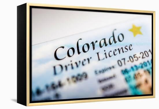 Colorado Driver License-duallogic-Framed Premier Image Canvas